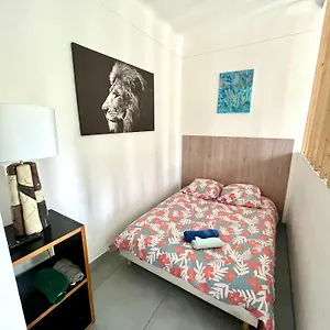  Appartement Ilios Cannes